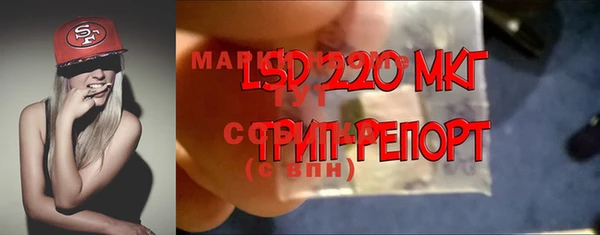 mdpv Елабуга
