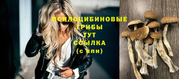 mdpv Елабуга