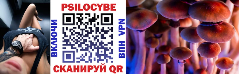 Купить где  Вилючинск  Псилоцибиновые грибы ЛСД 